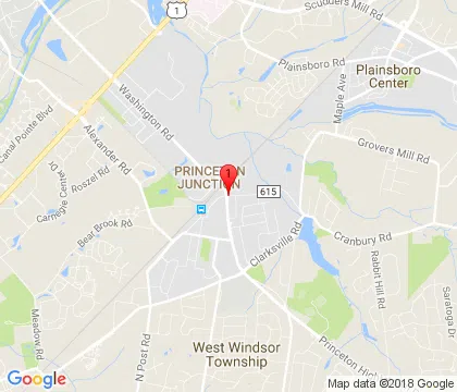 logo-image - princeton-junction-nj